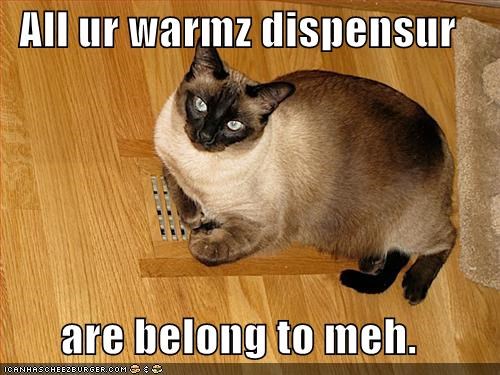All ur warmz dispensur  are belong to meh.