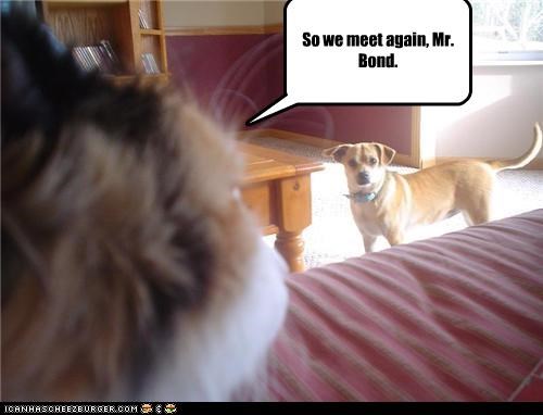 So we meet again, Mr. Bond.