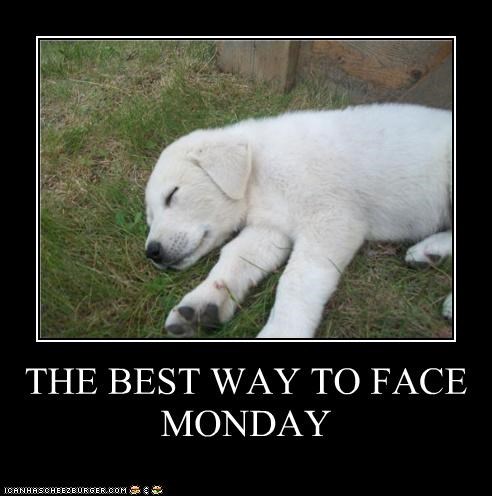THE BEST WAY TO FACE MONDAY
