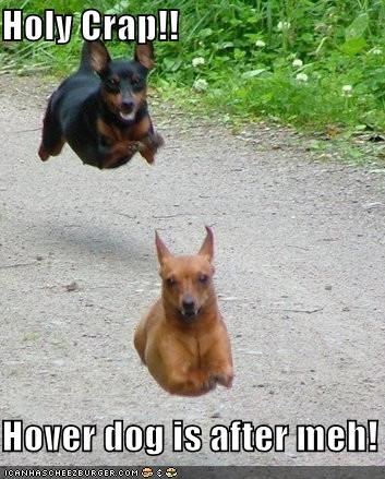 Holy Crap!!  Hover dog is after meh!