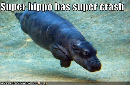 Super hippo has super crash