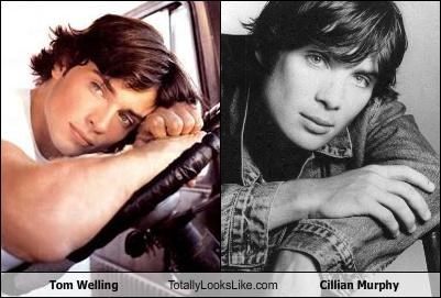 Tom Welling Totally Looks Like Cillian Murphy