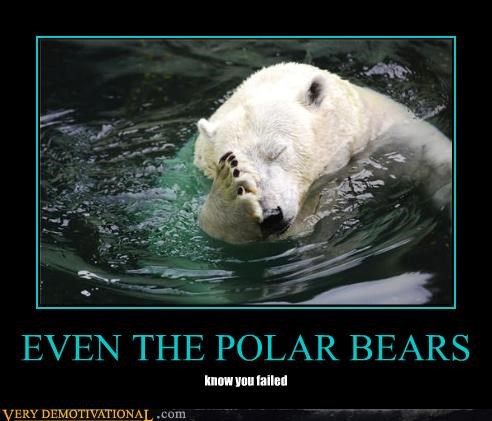 EVEN THE POLAR BEARS