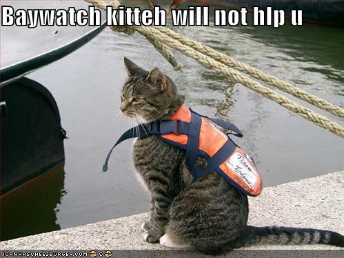 Baywatch kitteh will not hlp u
