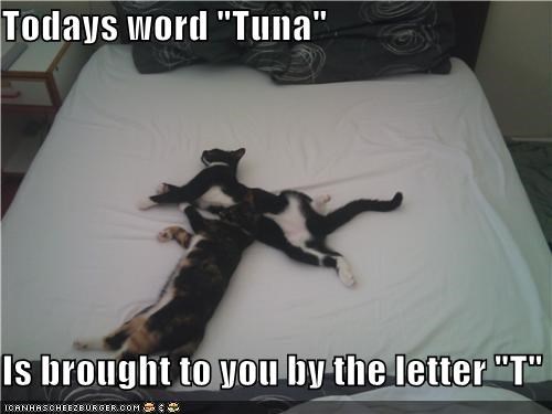 Todays word "Tuna"  Is brought to you by the letter "T"