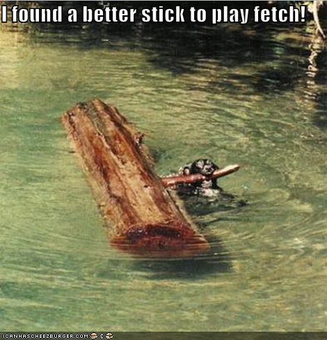 I found a better stick to play fetch!
