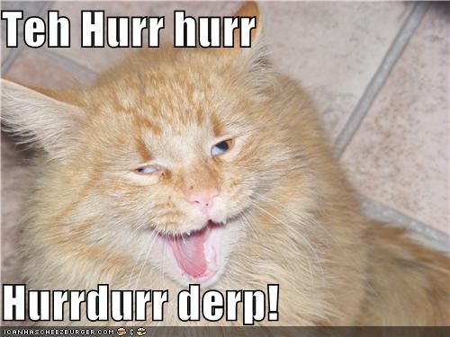 Teh Hurr hurr  Hurrdurr derp!
