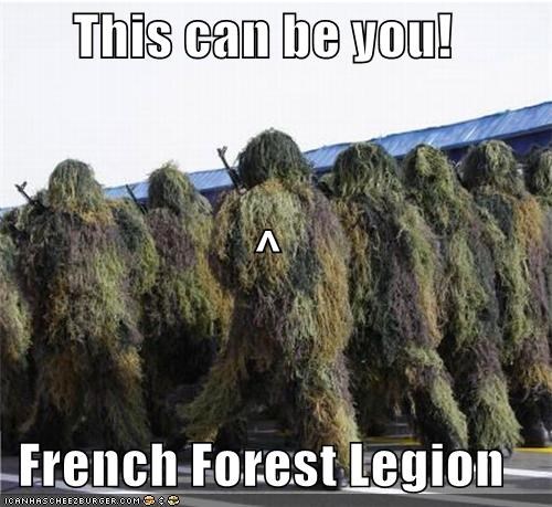 This can be you! ^ French Forest Legion