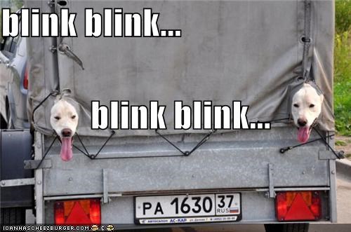 blink blink...              blink blink...