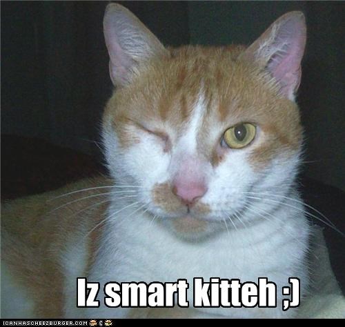 Iz smart kitteh ;)