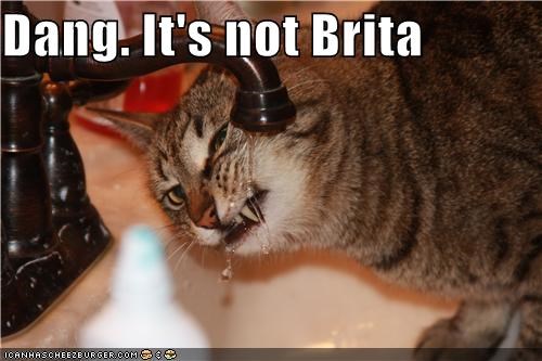 Dang. It's not Brita