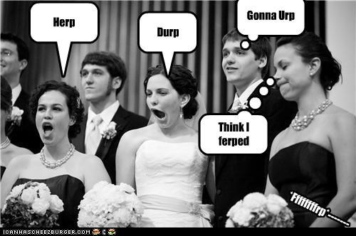 Here comes de Derp!