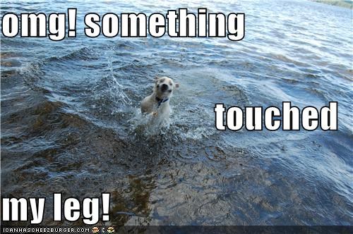 omg! something touched my leg!