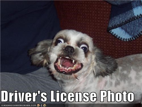 Driver's License Photo
