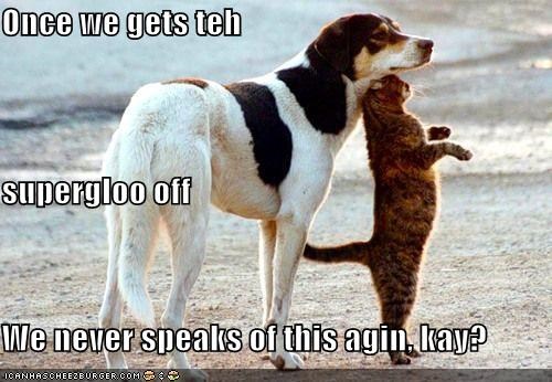Once we gets teh supergloo off We never speaks of this agin, kay?