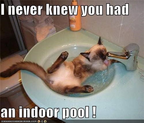 I never knew you had  an indoor pool !