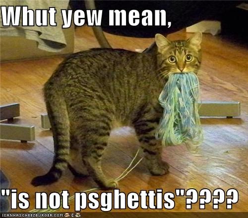Whut yew mean,  "is not psghettis"????