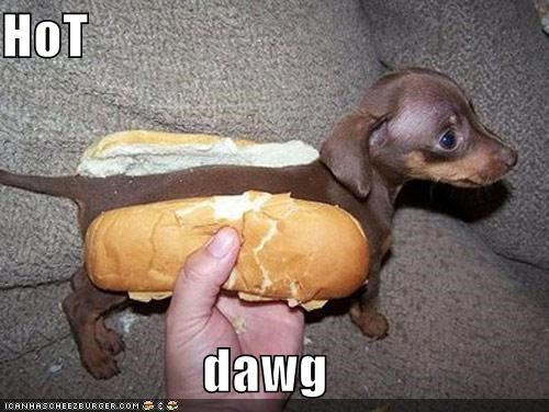HoT  dawg