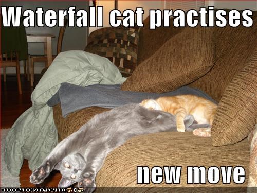 Waterfall cat practises  new move