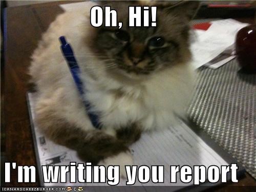 Oh, Hi!  I'm writing you report