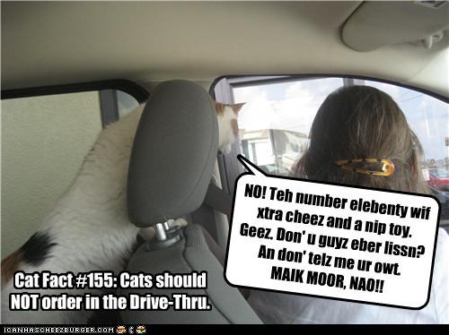NO! Teh number elebenty wif xtra cheez and a nip toy. Geez. Don' u guyz eber lissn? An don' telz me ur owt. MAIK MOOR, NAO!!