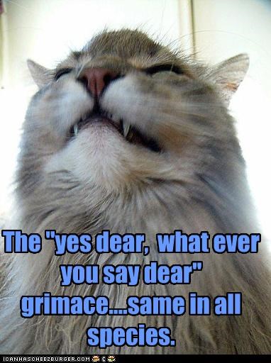 The "yes dear,  what ever you say dear"  grimace....same in all species.