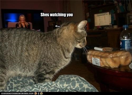 Shes watching you