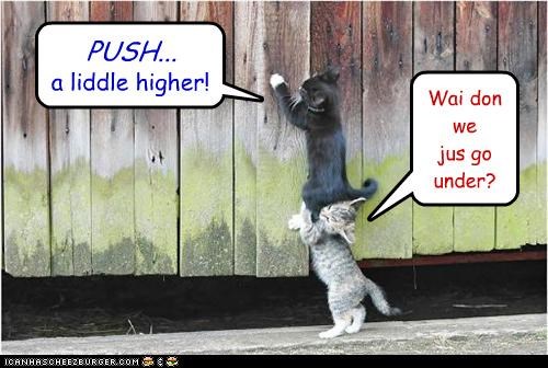 a liddle higher!