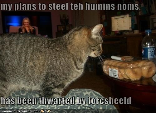 my plans to steel teh humins noms,  has been thwarted by forcsheeld