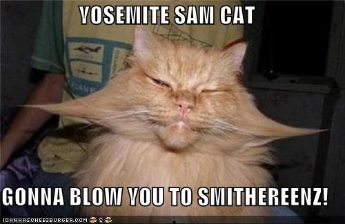 YOSEMITE SAM CAT  GONNA BLOW YOU TO SMITHEREENZ!