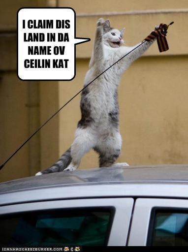 Early Cat Explorers