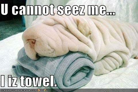 U cannot seez me...  I iz towel.