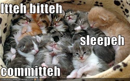 Itteh bitteh sleepeh committeh