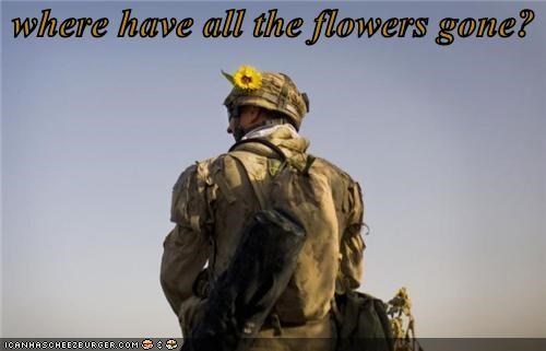 where have all the flowers gone?