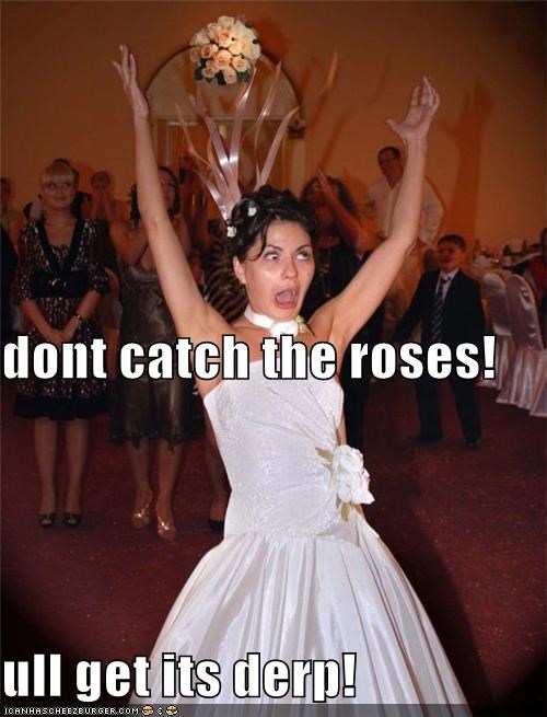 dont catch the roses! ull get its derp!