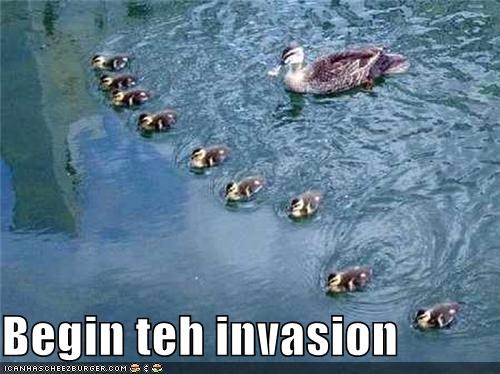 Begin teh invasion