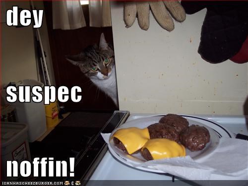 dey  suspec  noffin!