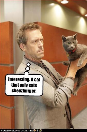 Only Cheezburger