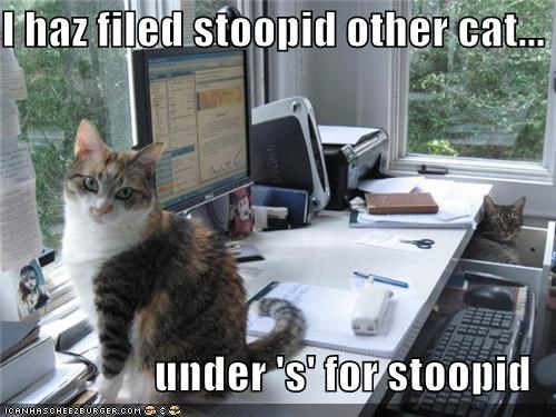 I haz filed stoopid other cat...  under 's' for stoopid