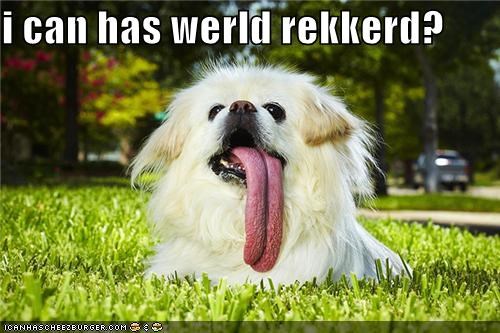 i can has werld rekkerd?