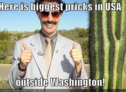 Here is biggest pricks in USA  outside Washington!