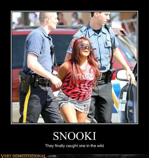 SNOOKI
