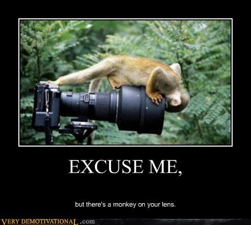 EXCUSE ME,