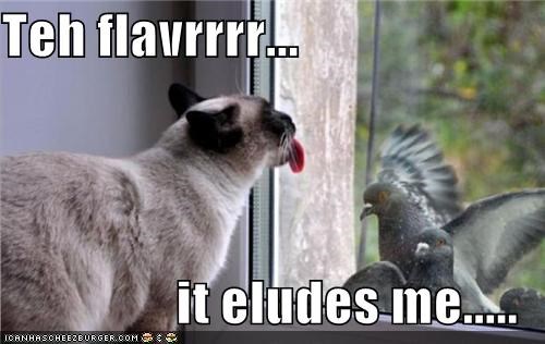 Teh flavrrrr...  it eludes me.....