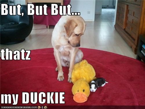 But, But But... thatz my DUCKIE