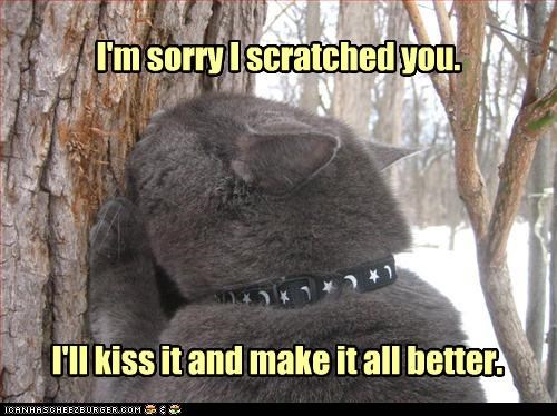 I'm sorry I scratched you.