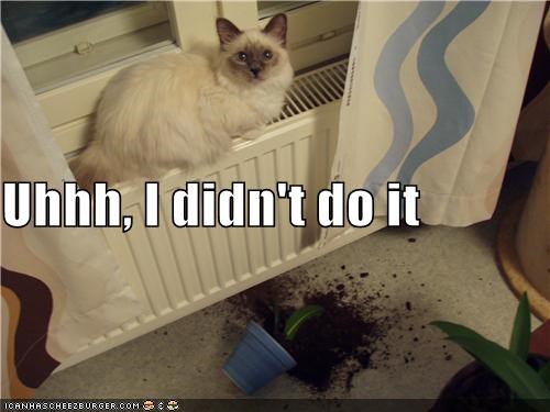 Uhhh, I didn't do it