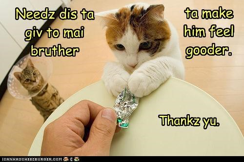 Needz dis ta giv to mai bruther