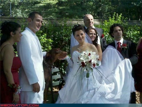 Cutest. Groom. EVER.