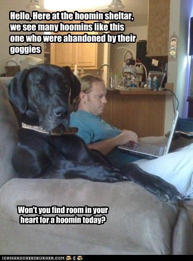 Hooman Society